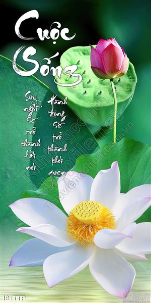 Tranh treo tường thư pháp cuộc sống