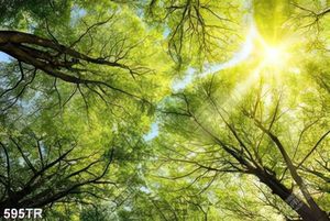 Tranh trần ánh nắng xuyên qua rừng cây xanh lá in uv