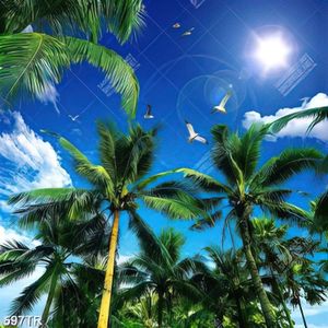 Tranh dán trần in uv bầu trời trên rừng dừa