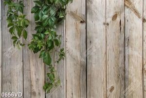 Gỗ dán tường chất lượng
