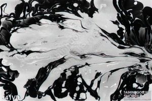 Vân đá, Marble trắng vân đen