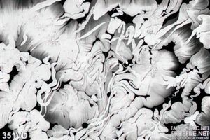 Vân đá, Marble vân trắng đen