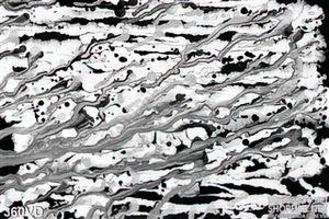 Vân đá, Marble trắng pha đen