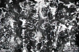 Vân đá, Marble trắng và đen