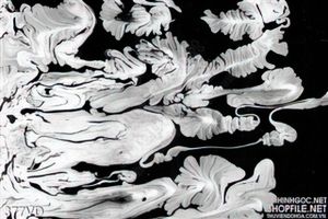Vân đá, Marble vân sơn trắng đen