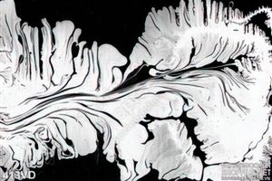Vân đá, Marble nền đen vân trắng