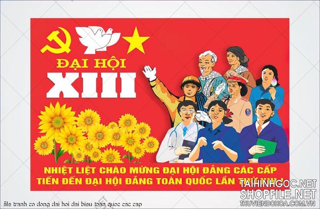 file tranh co dong dai hoi dai bieu toan quoc cac cap