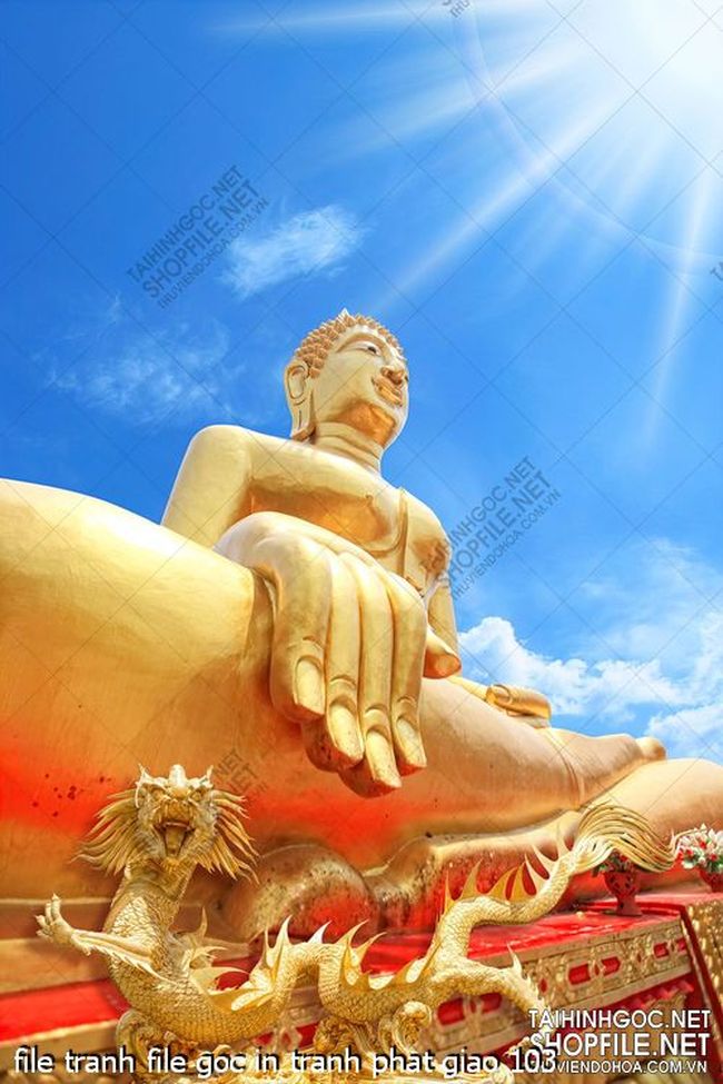 file tranh file goc in tranh phat giao 103 