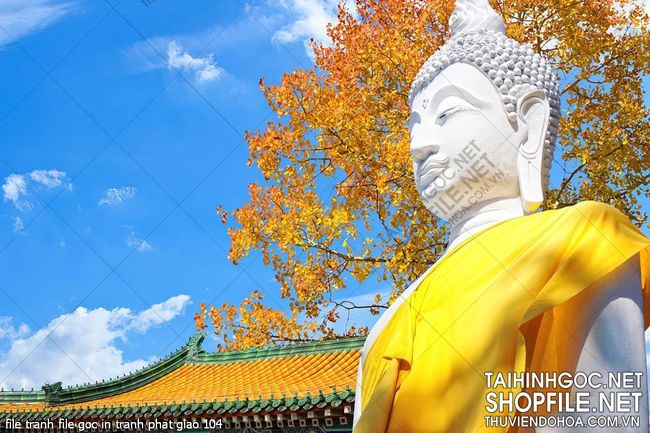file tranh file goc in tranh phat giao 104