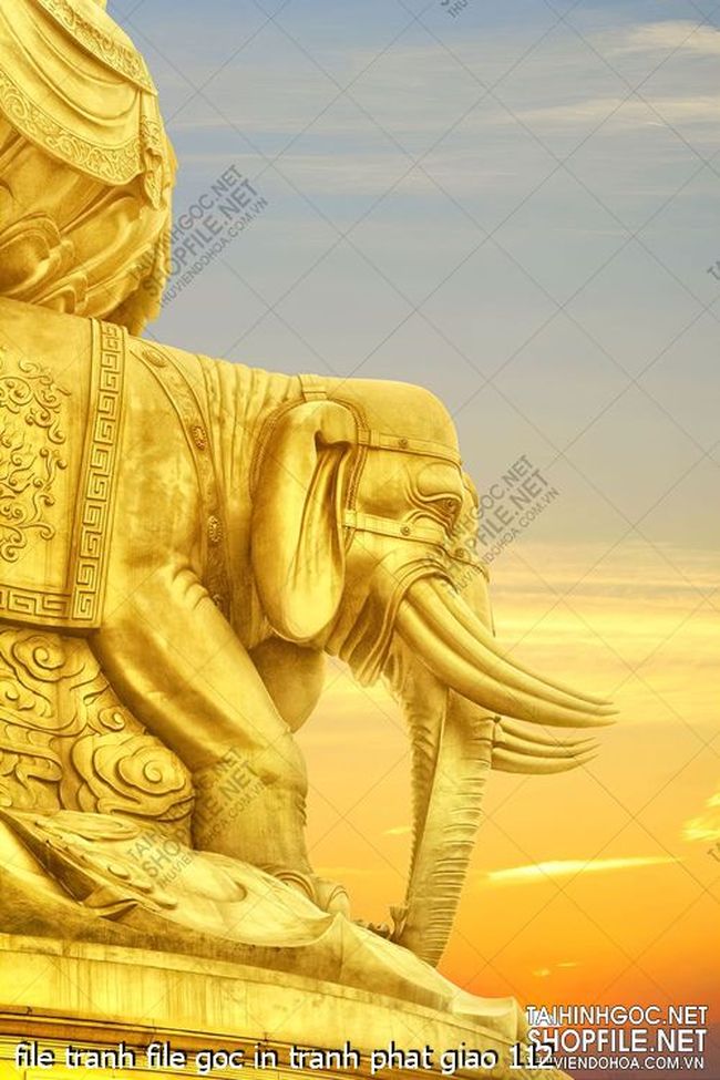file tranh file goc in tranh phat giao 112