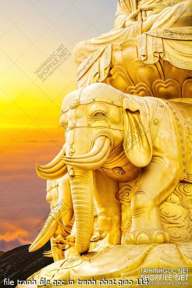 file tranh file goc in tranh phat giao 114