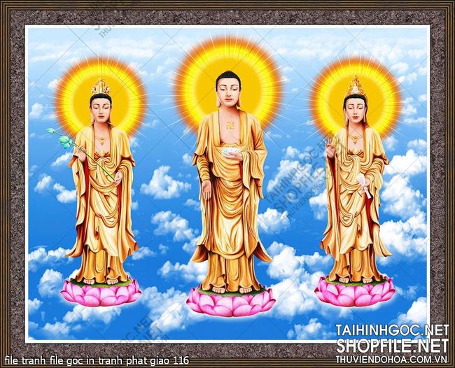 file tranh file goc in tranh phat giao 116