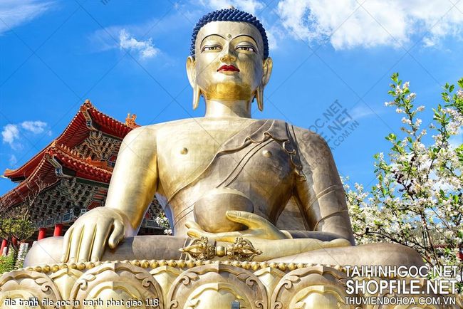 file tranh file goc in tranh phat giao 118