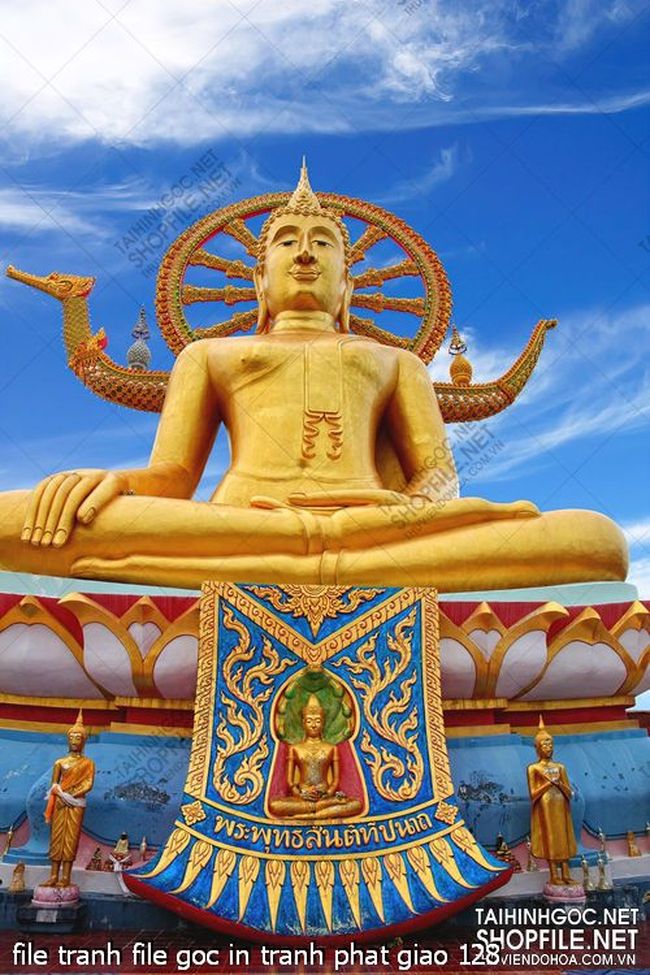 file tranh file goc in tranh phat giao 128