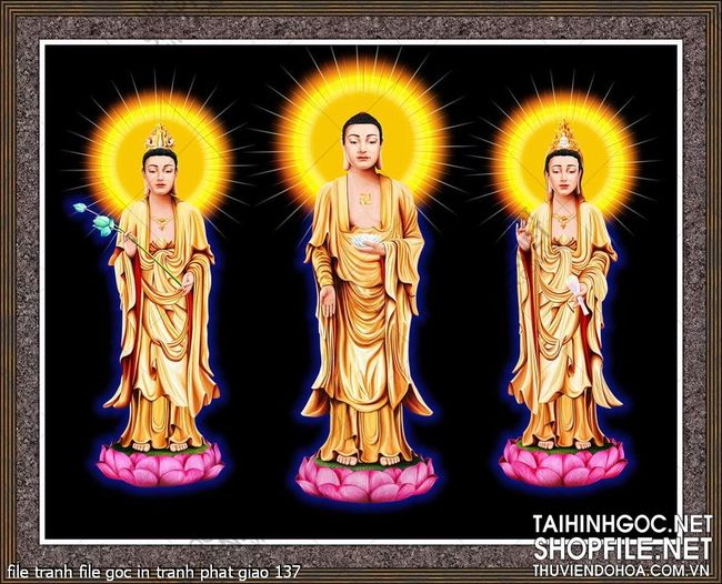 file tranh file goc in tranh phat giao 137