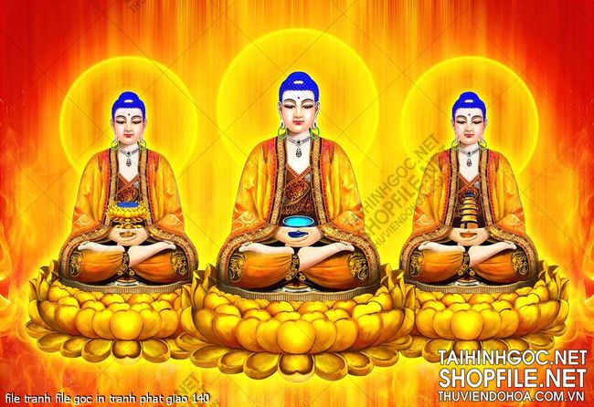 file tranh file goc in tranh phat giao 140