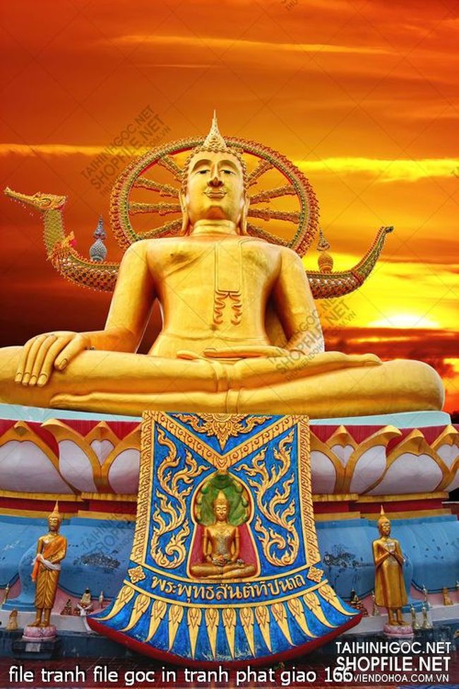 file tranh file goc in tranh phat giao 166