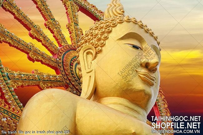 file tranh file goc in tranh phat giao 185