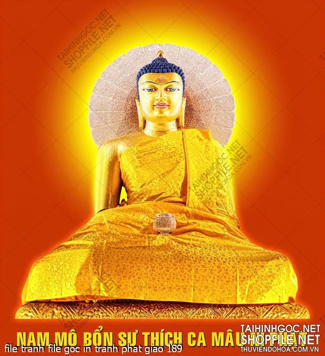 file tranh file goc in tranh phat giao 189