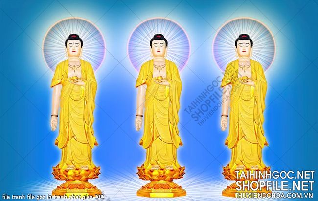 file tranh file goc in tranh phat giao 202