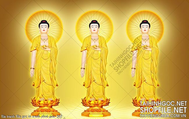 file tranh file goc in tranh phat giao 203