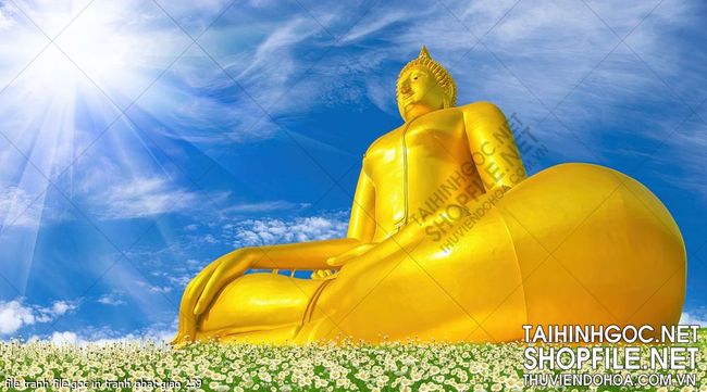 file tranh file goc in tranh phat giao 239