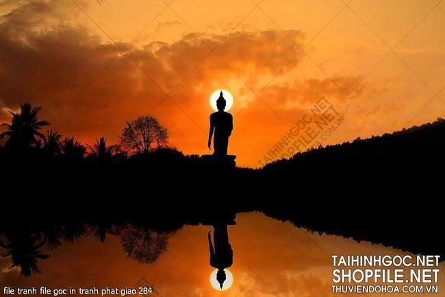 file tranh file goc in tranh phat giao 284