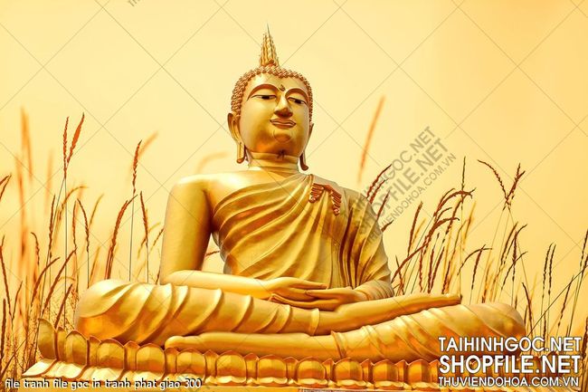 file tranh file goc in tranh phat giao 300