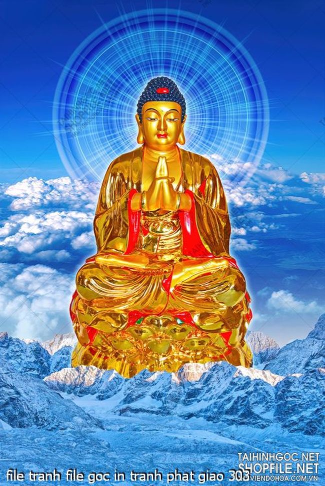 file tranh file goc in tranh phat giao 303