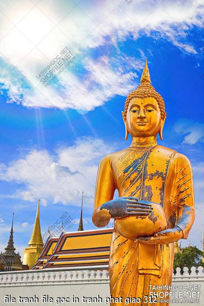 file tranh file goc in tranh phat giao 312