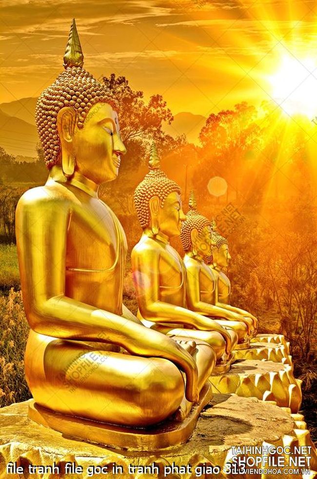file tranh file goc in tranh phat giao 313