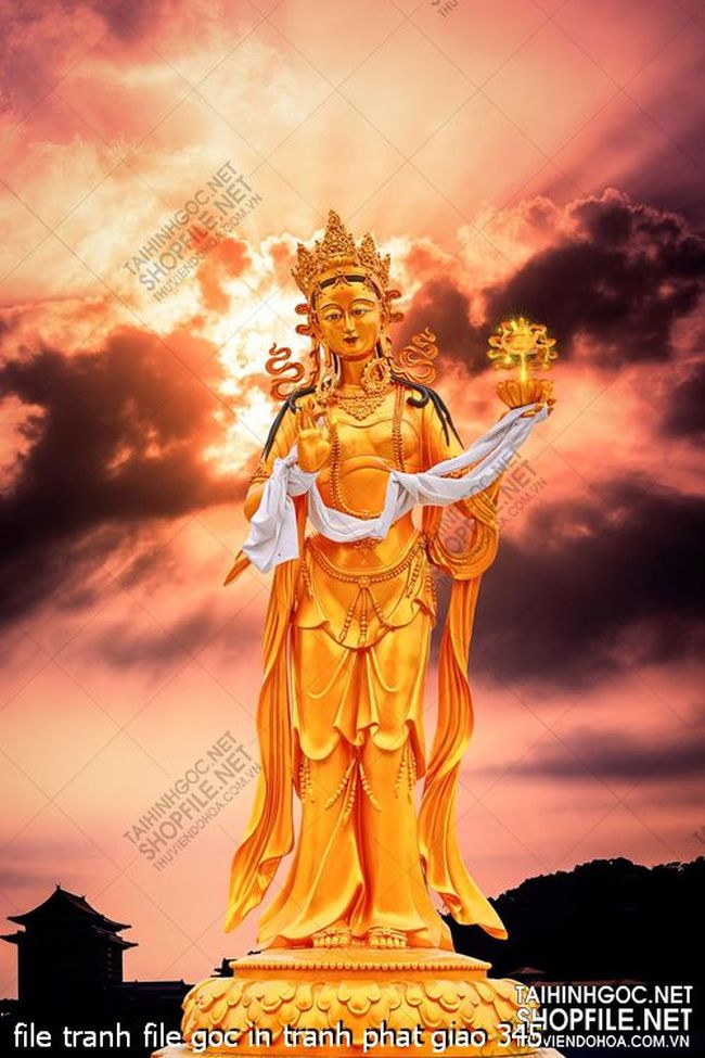 file tranh file goc in tranh phat giao 345