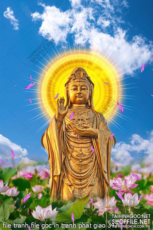 file tranh file goc in tranh phat giao 347
