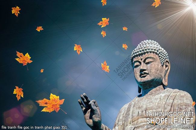 file tranh file goc in tranh phat giao 351