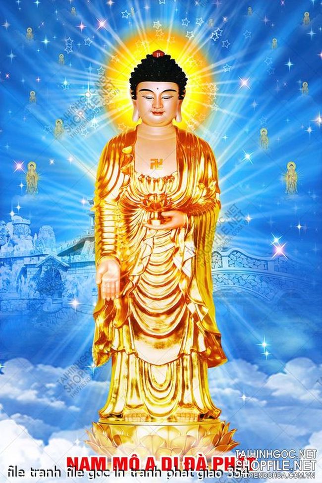file tranh file goc in tranh phat giao 354