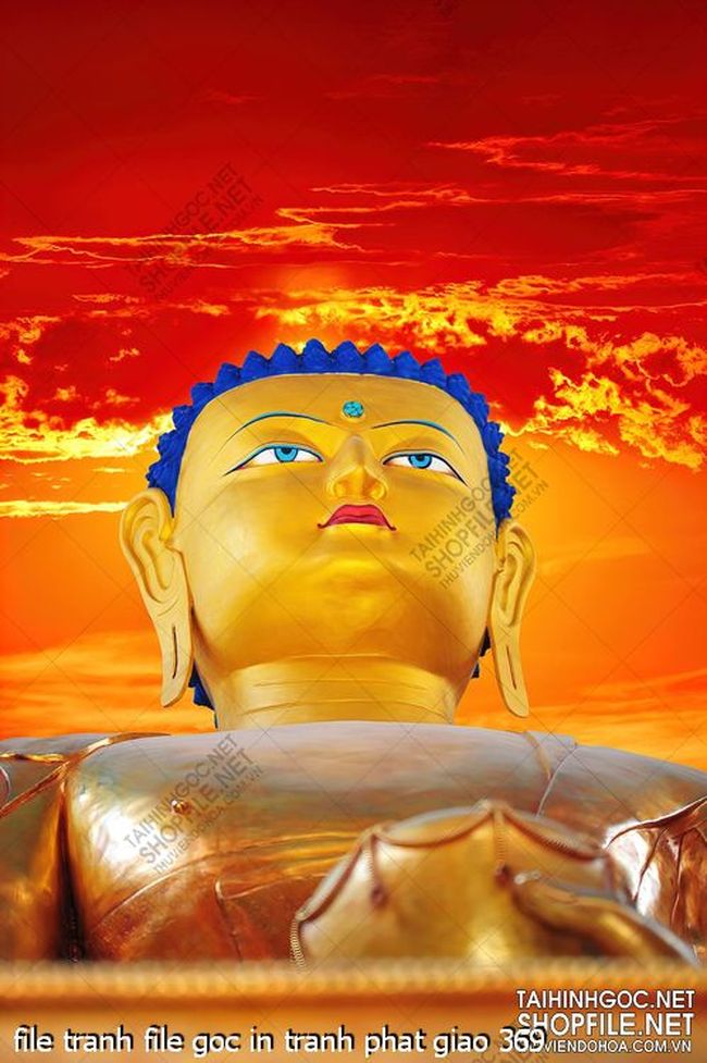 file tranh file goc in tranh phat giao 369