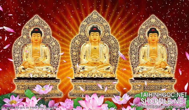 file tranh file goc in tranh phat giao 379