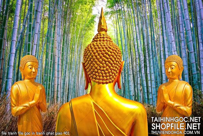 file tranh file goc in tranh phat giao 401
