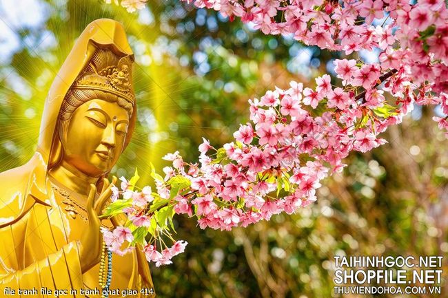 file tranh file goc in tranh phat giao 414