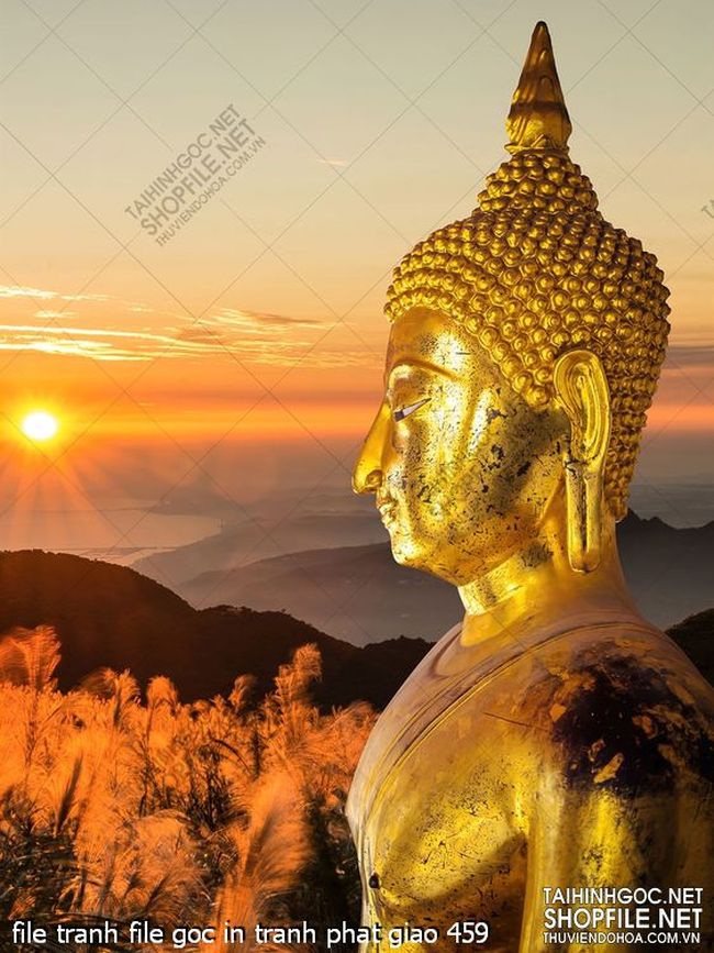 file tranh file goc in tranh phat giao 459