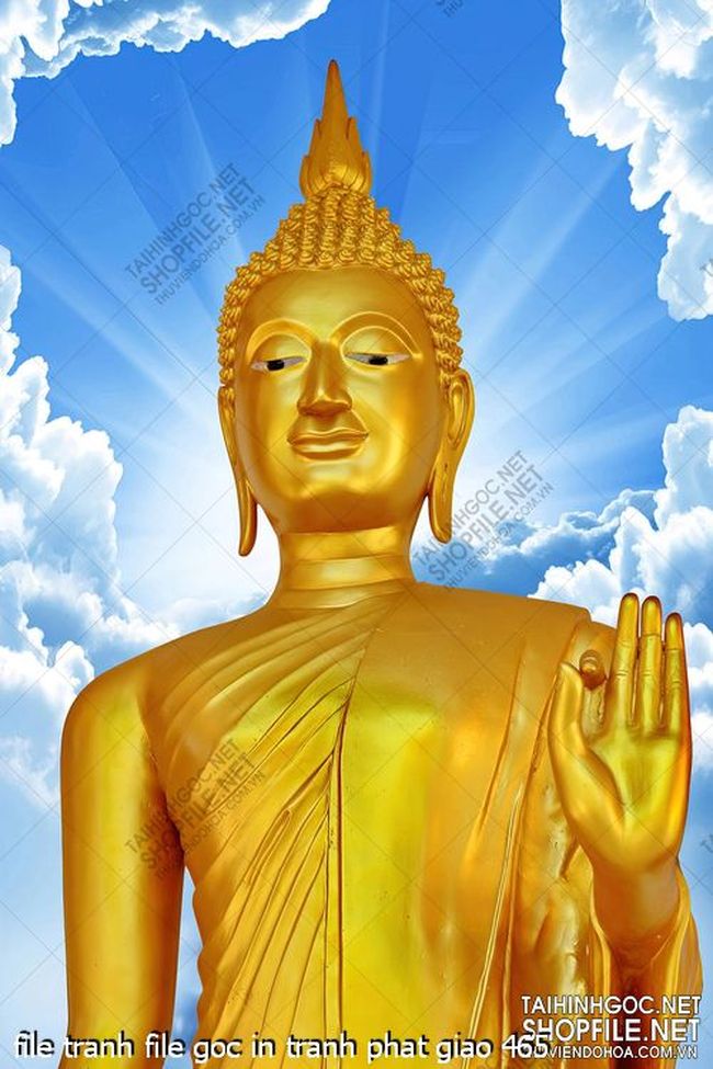 file tranh file goc in tranh phat giao 465