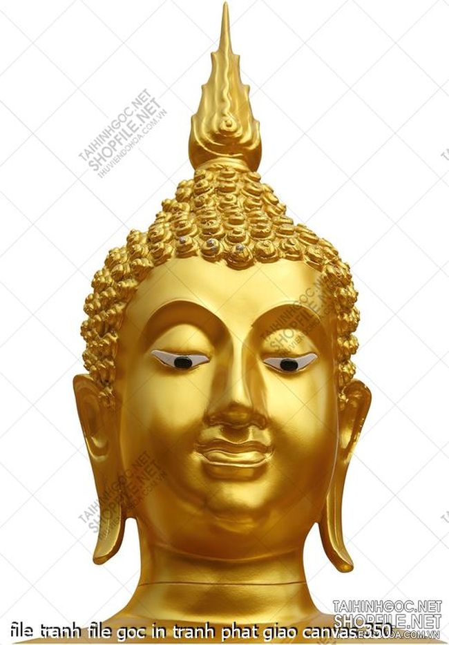 file tranh file goc in tranh phat giao canvas 350