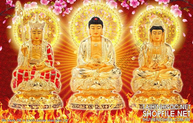 file tranh file in tranh canvas phat giao 210