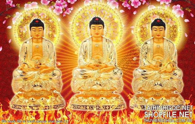 file tranh file in tranh canvas phat giao 212