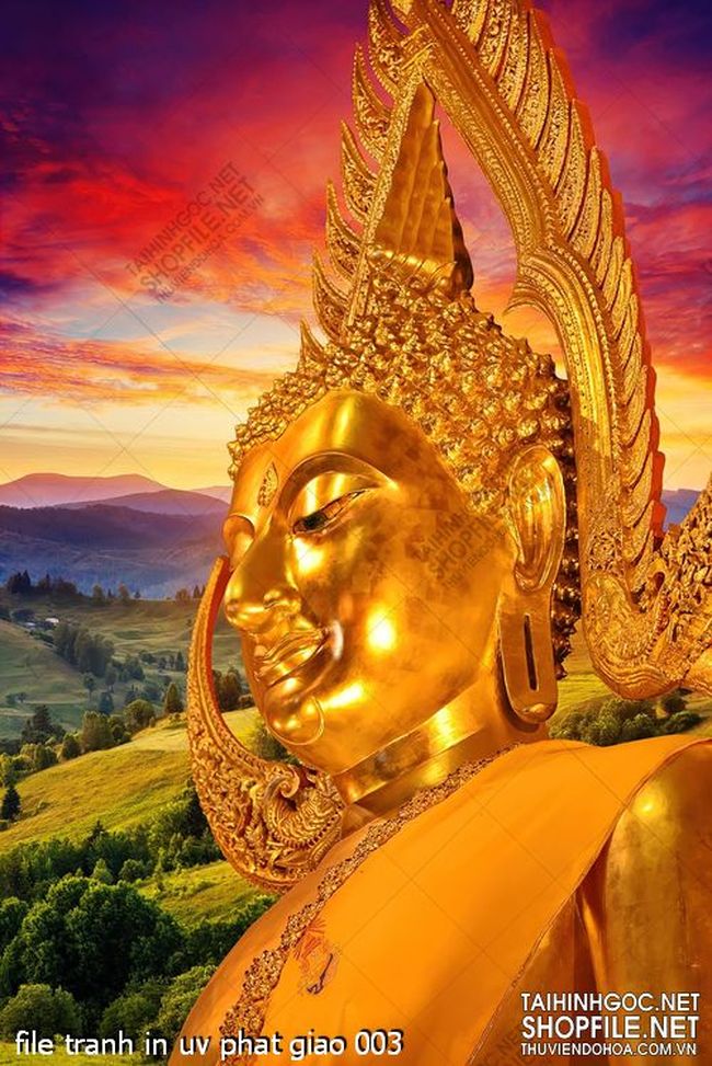 file tranh in uv phat giao 003