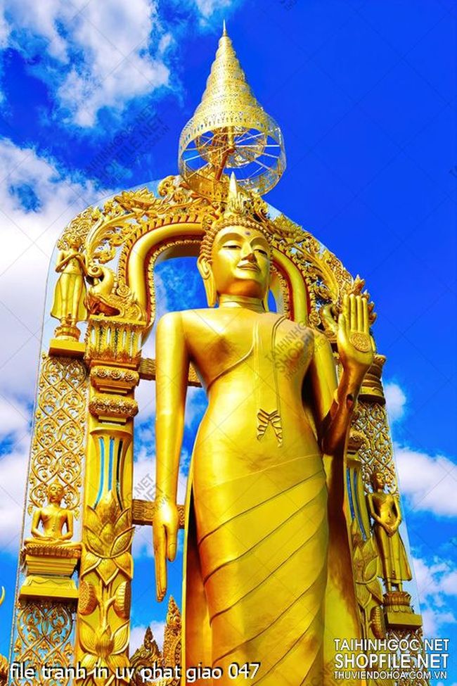 file tranh in uv phat giao 047