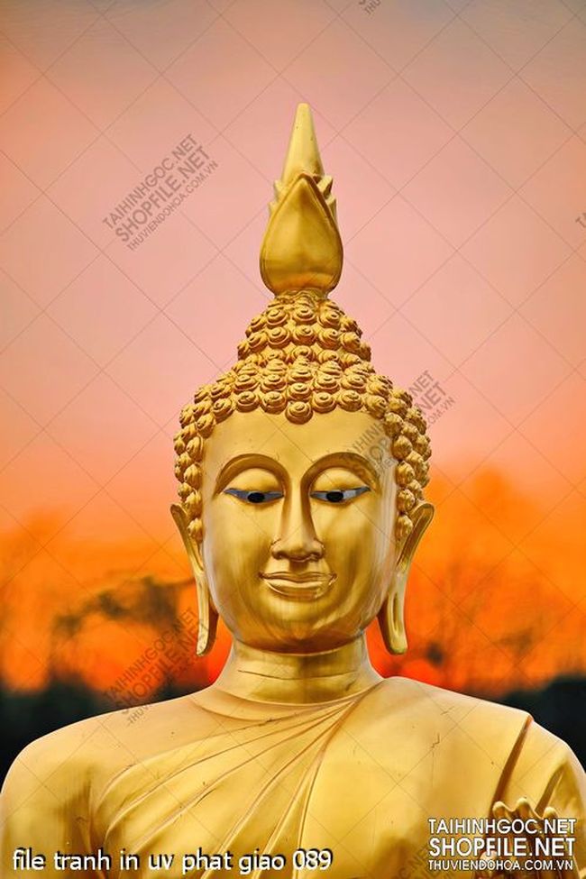 file tranh in uv phat giao 089