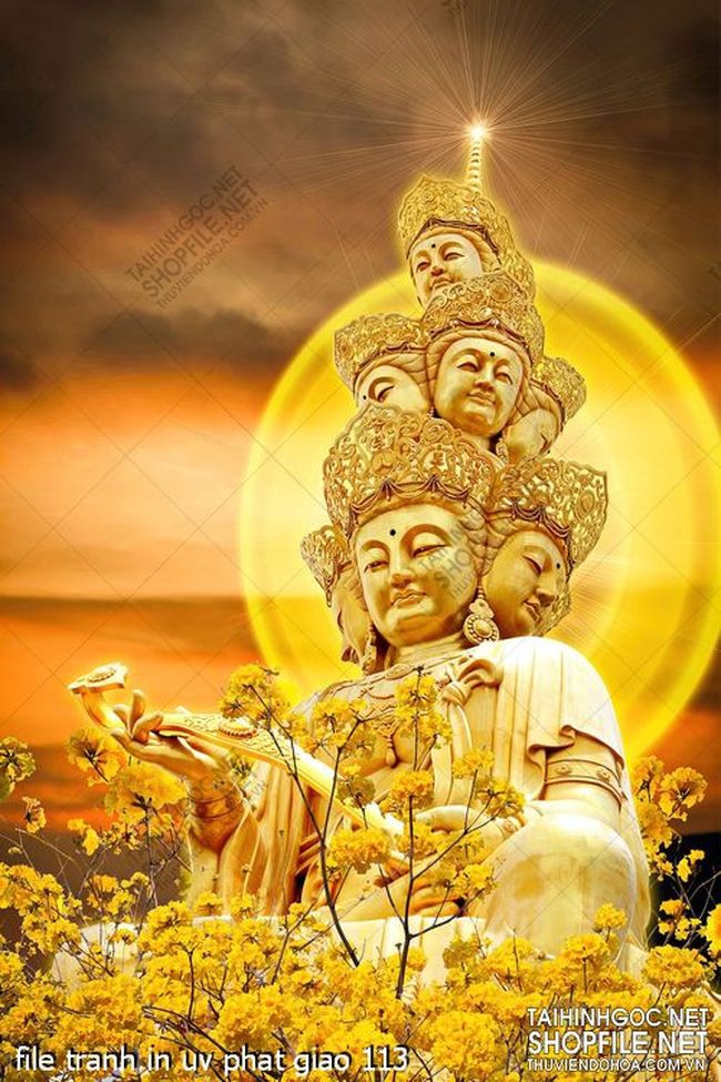 file tranh in uv phat giao 113