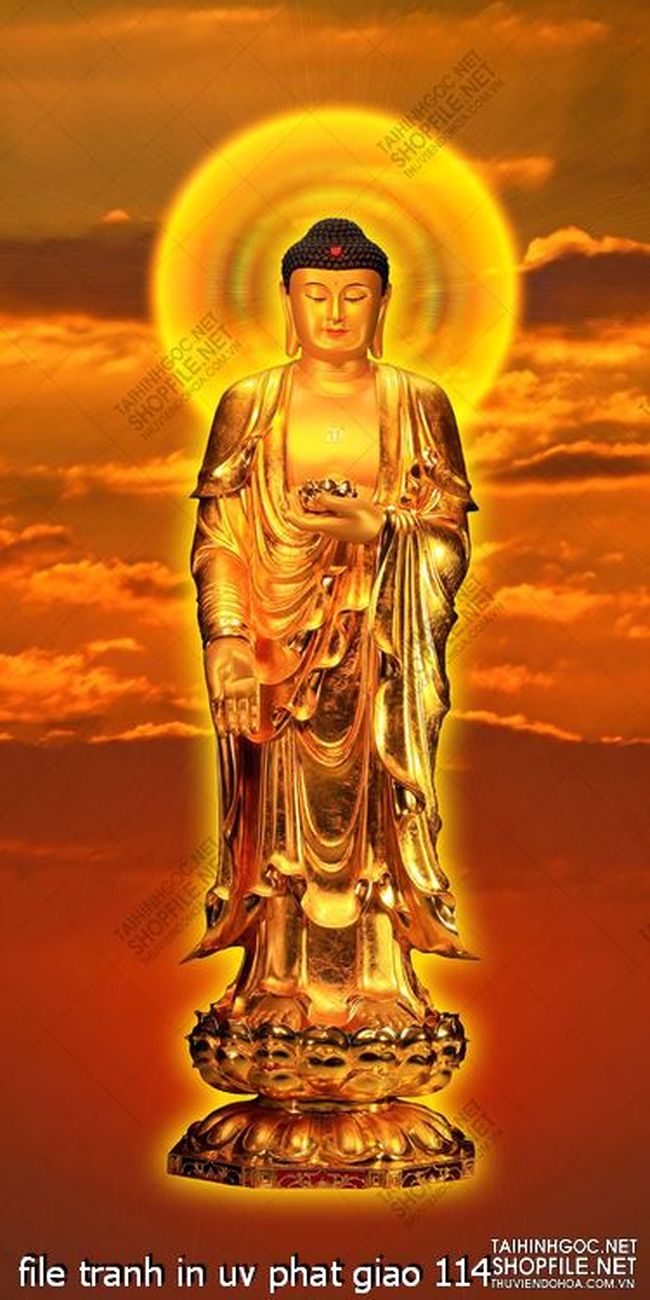 file tranh in uv phat giao 114