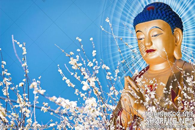 file tranh in uv phat giao 117